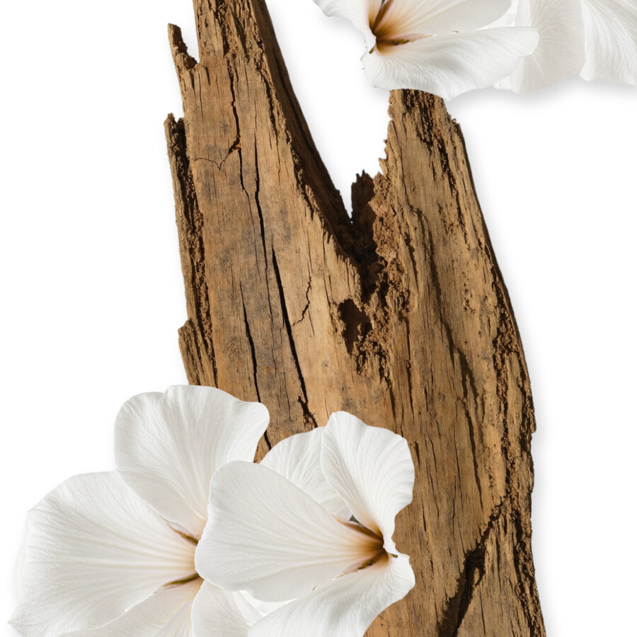 valaya nachfÜllbar creme fÜr den kÖrper
– parfums de marly